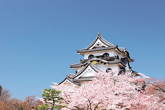 写真:彦根城