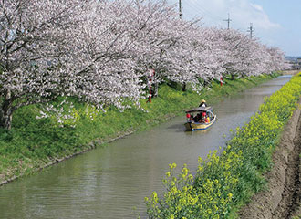写真:水郷