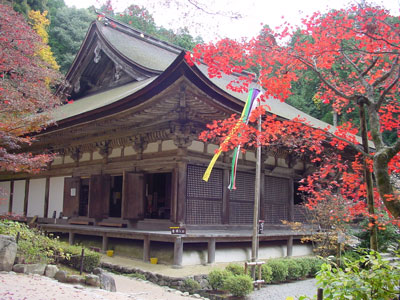 写真:金剛輪寺の血染めもみじ