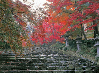 写真:紅葉の石階段