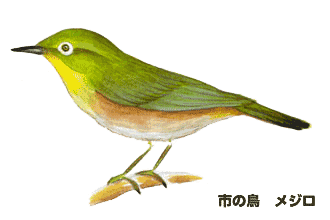 写真：市の鳥 メジロ