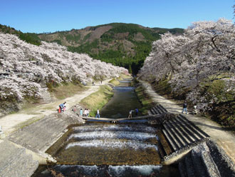 写真：鮎河うぐい川