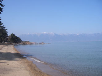 写真：マイアミ浜