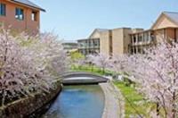 大学内には川に沿って桜並木があり、その桜並木のすぐ近くには大学の建物が並んでいます