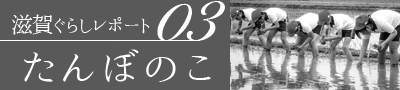 滋賀ぐらしレポート03 たんぼのこ