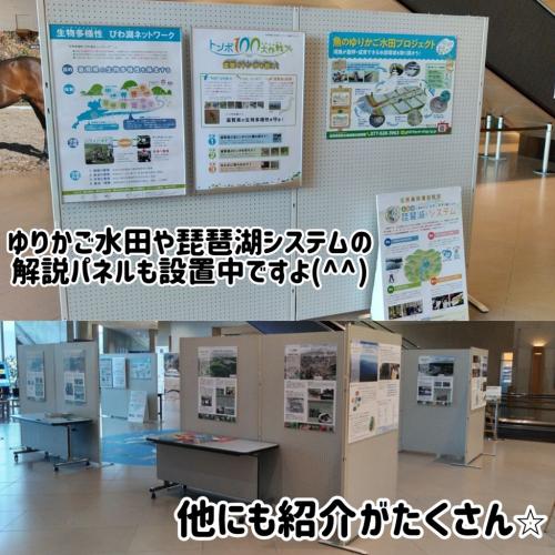 パネル展写真2