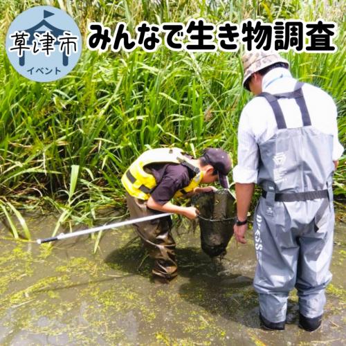 生き物調査の様子の写真
