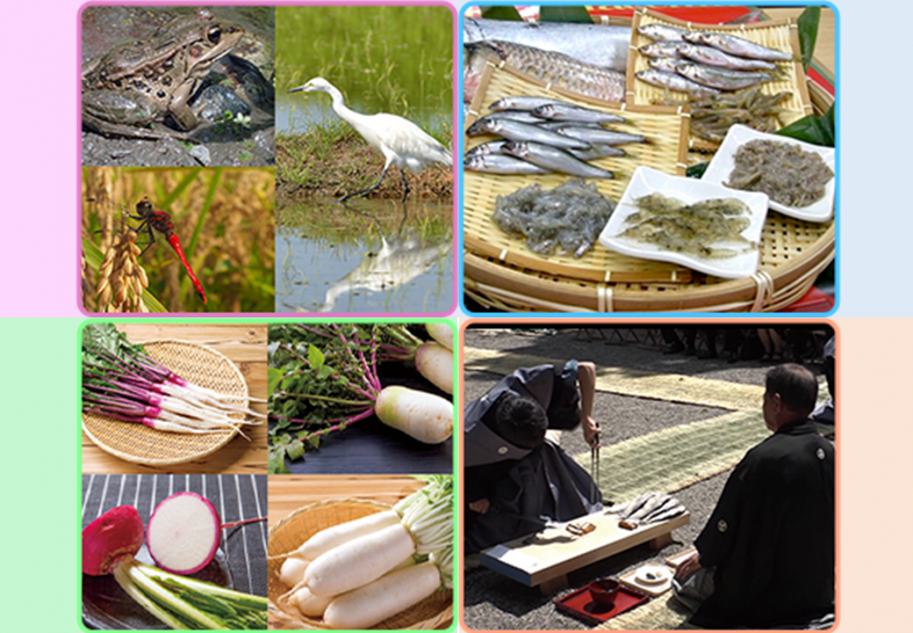 滋賀の特産と文化の写真