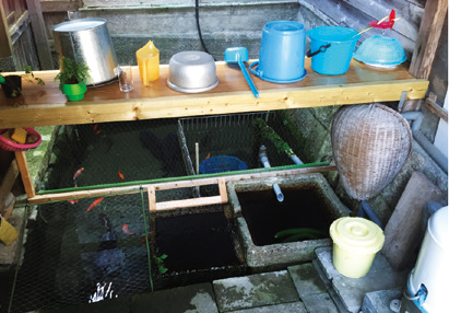 水を大切にする農村の工夫やヨシの活用カバタ1