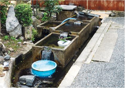 水を大切にする農村の工夫やヨシの活用カバタ2