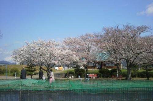 写真:滋賀県南郷水産センター風景