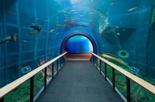 写真:琵琶湖博物館風景
