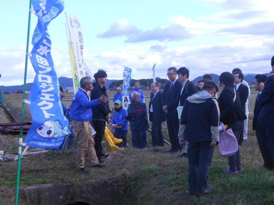 魚のゆりかご水田