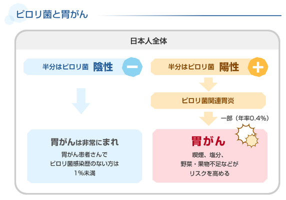 ピロリ菌と胃がん 日本人全体 半分はピロリ菌陰性 胃がんは非常にまれ胃がん患者さんでピロリ菌感染歴のない方は1%未満 半分はピロリ菌陽性 ピロリ菌関連胃炎 一部(年率0.4%)胃がん 喫煙、塩分、野菜・果物不足などがリスクを高める