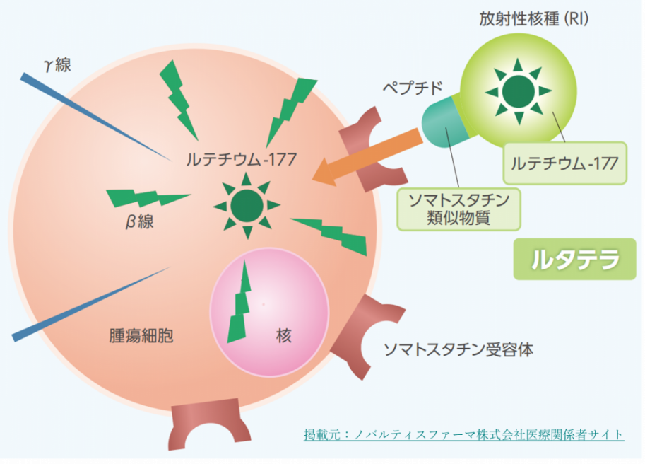 ルタテラ治療について画像