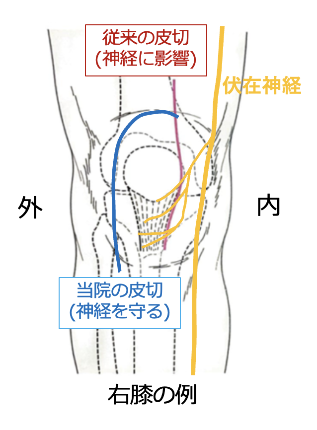 知覚神経