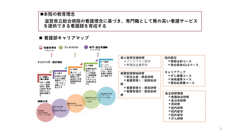 看護のキャリアパスの図式図
