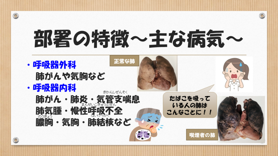 主な病気は、呼吸器外科は肺がんや気胸など、呼吸器内科は肺がん、肺炎、気管支喘息、肺気腫、慢性呼吸不全、膿胸、気胸、肺結核など