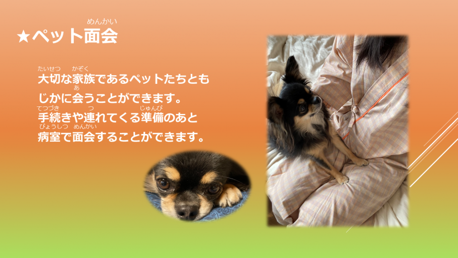 ペット面会
大切な家族であるペットたちともじかに会うことができます。手続きや連れてくる準備のあと病室で面会することができます。