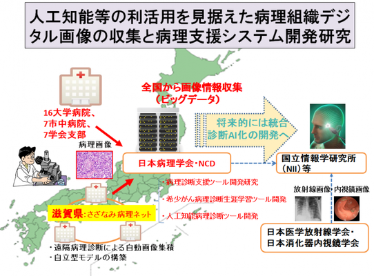 さざなみネット