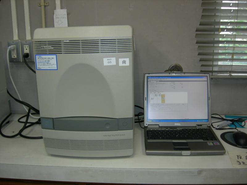 リアルタイムPCRの写真