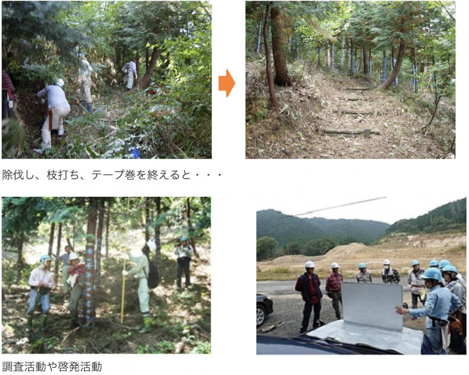 除伐し、枝打ち、テープ巻を終えると・・・調査活動や啓発活動