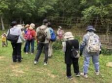 夏に開催した虫の観察会、植物の観察会の様子2
