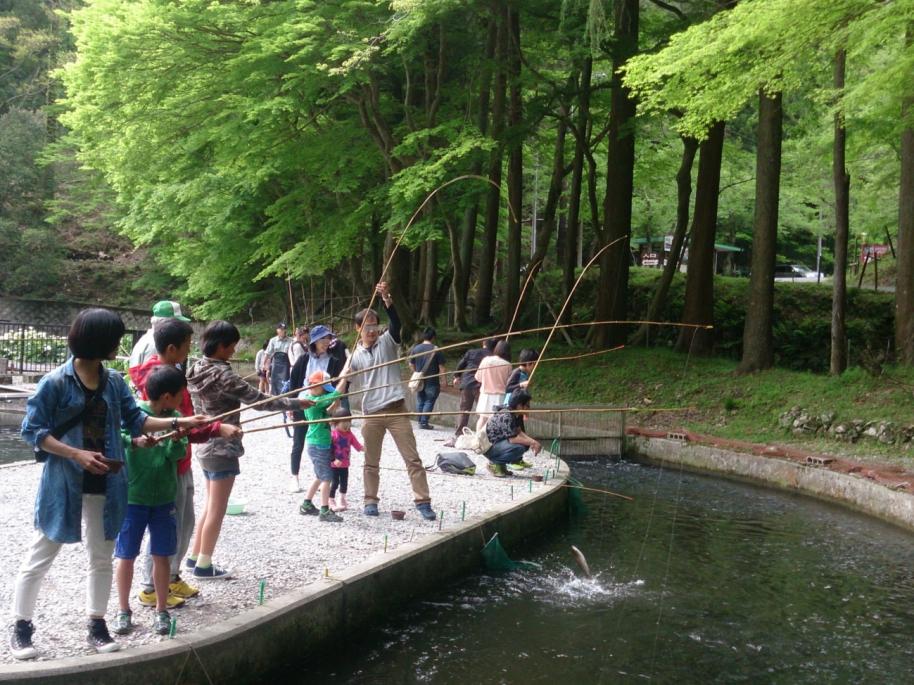 醒井養鱒場魚釣り