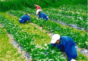 農家民宿「花の里」