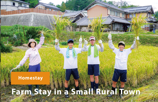 Omi-Hino Cultural Exchange Network