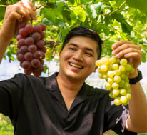 AFTERNOON: Fruit Harvest Experience at Makino Pick Land