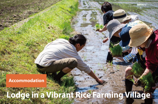 Lodge in a Vibrant Rice Farming Villege