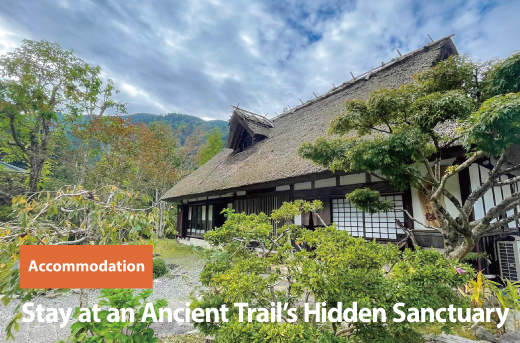 Stay atan Anclent Tralls Hidden Sanctuary