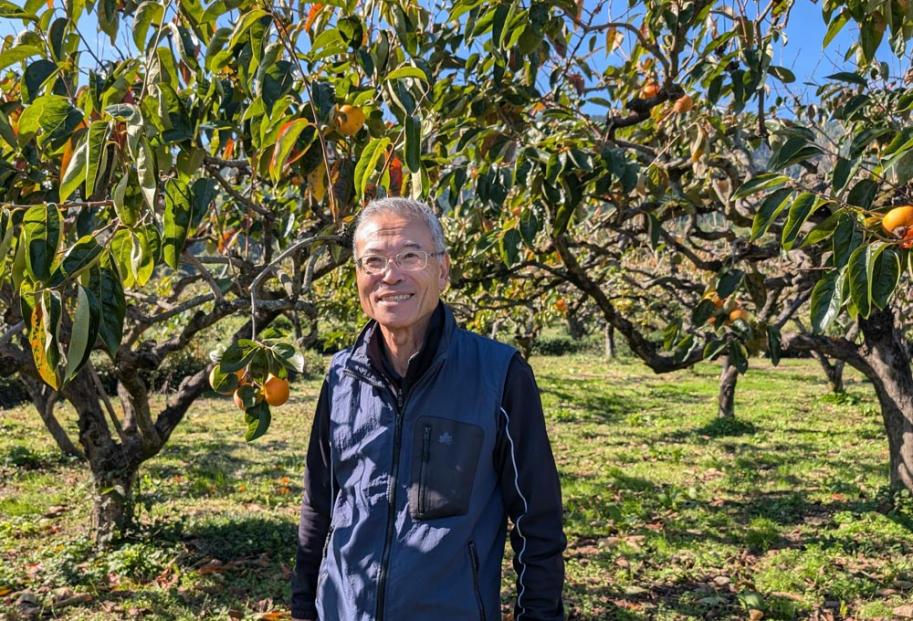 Katsurada-san at his family orchards