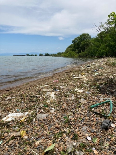 彦根市の湖岸のようすビニール片などが散乱している