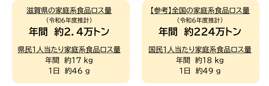 (更新R6版)家庭系食品ロス量