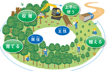 森林資源の循環利用イメージ画像
