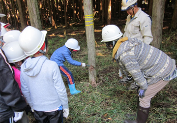 ▲Tree thinning experience at “Yamanoko”