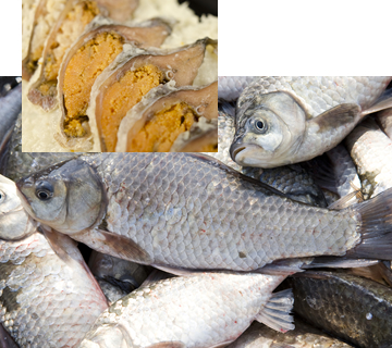 Round crucian carp and ”Funazushi”(fermented carp with rice)