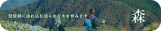 琵琶湖に流れ込む清らかな水を育みます