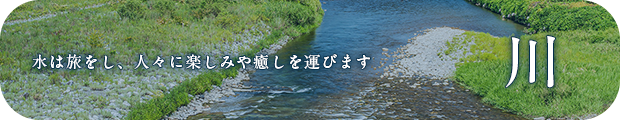 水は旅をし、人々に楽しみや癒しを運びます