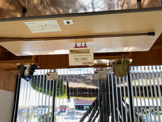 展示物画像