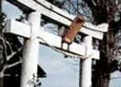 捕虜収容所に投下された箱サムネイル