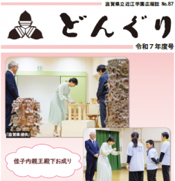 どんぐりNo.87