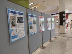 県政150周年記念じんけん啓発パネル展写真