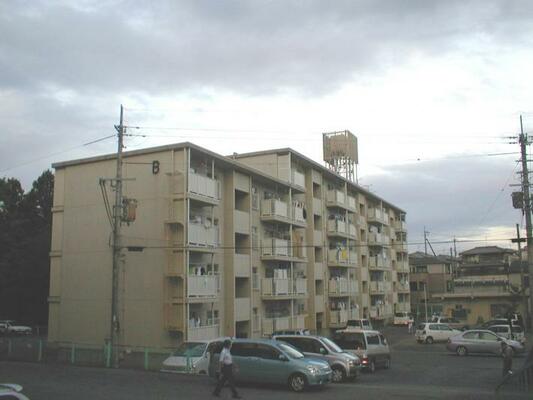 石山東