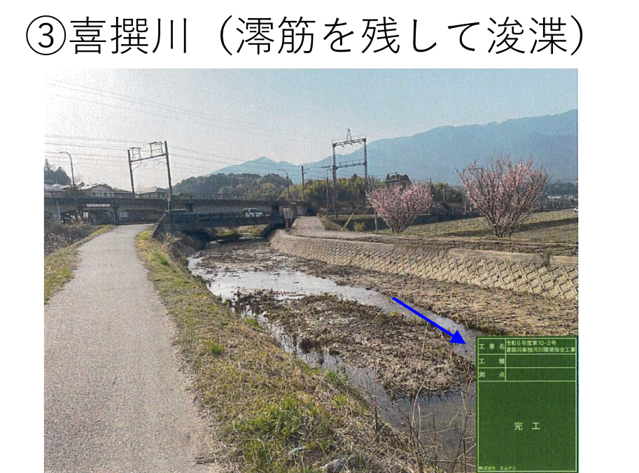 3喜撰川(澪筋を残して浚渫)