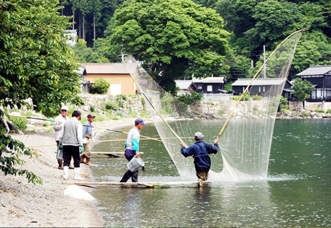 オイサデ漁の画像