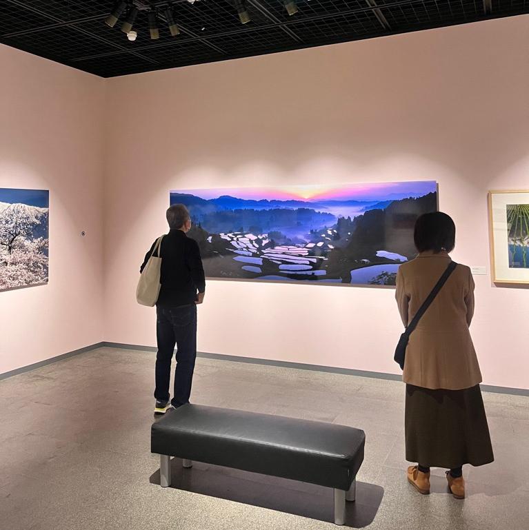 展示の様子2