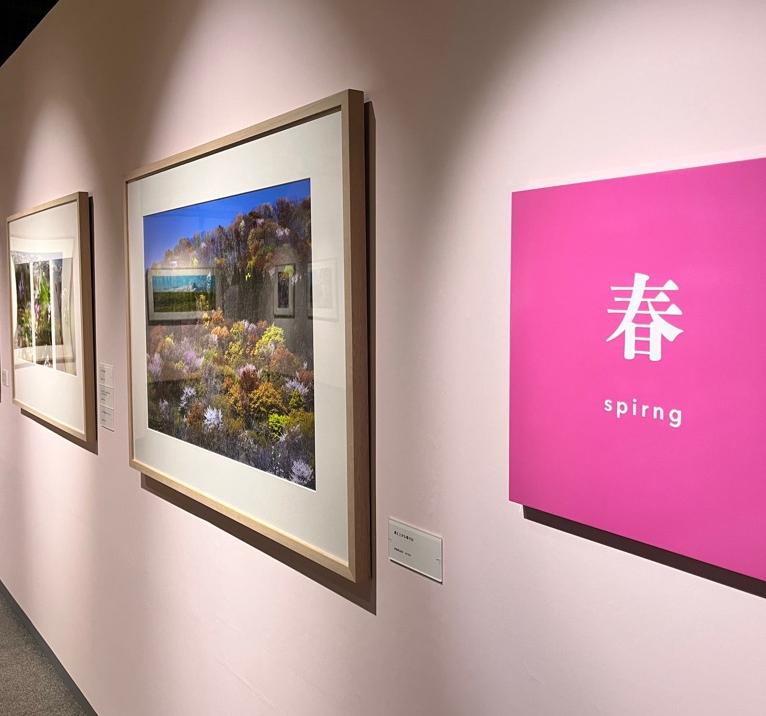 展示の様子4